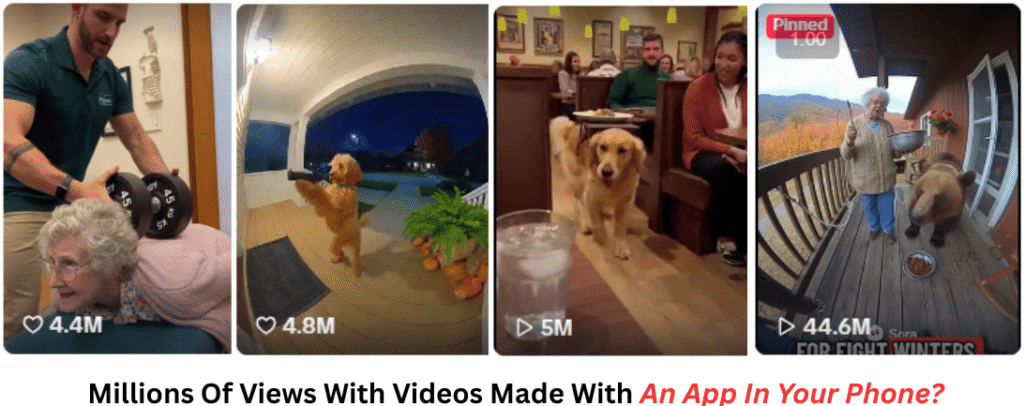 videos made with vyralzz